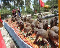 Du Lịch Nha Trang
