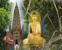Tours du lịch nước ngoài