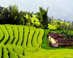 Du Lịch Tây Bắc