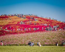 Tour du lịch Nhật Bản