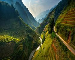 Tours du lịch