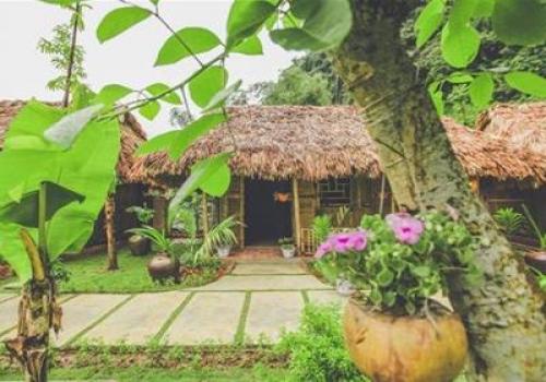 Family Bungalow Mountain View And Rice Field